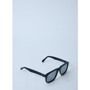 Navigator Sunglasses