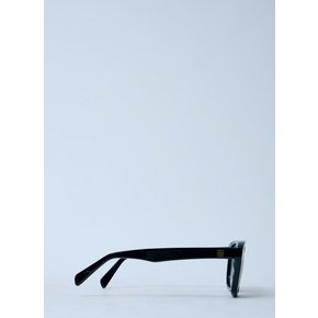 Navigator Sunglasses