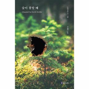 숲이 불탈 때 - 인간을 향한 자연의 마지막 경고, 초대형 산불이 울리다