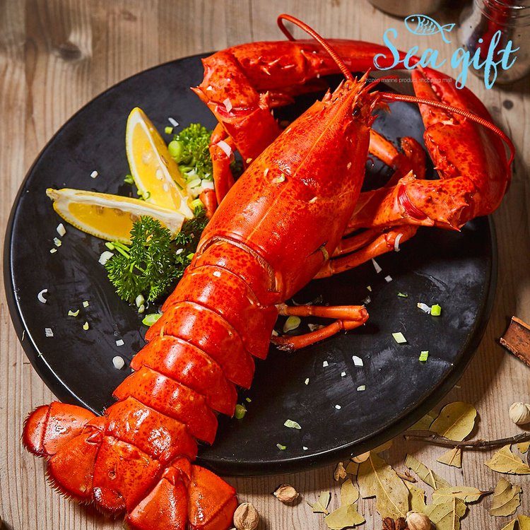 씨기프트 홀랍스터 4.54kg 250/350 자숙 버터구이 찜 소프트쉘, 믿고 사는 즐거움 SSG.COM 씨기프트 홀랍스터 4.54Kg 250/350 자숙 버터구이 찜 소프트쉘, 믿고 사는 즐거움 Ssg.Com