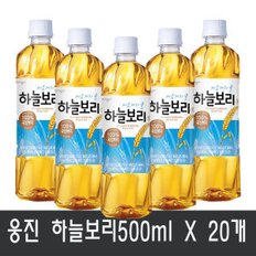 하늘보리500ml x 20펫/안전포장