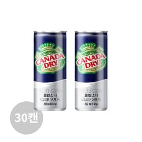 캐나다드라이 클럽소다 250ml 30캔 SJ