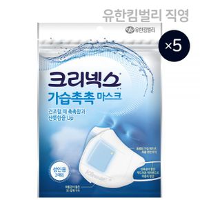 내 손안의 가습기 가습촉촉 국내생산 마스크 2P X 5EA