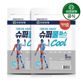해피홈 슈퍼쿨파스 5매입 2개