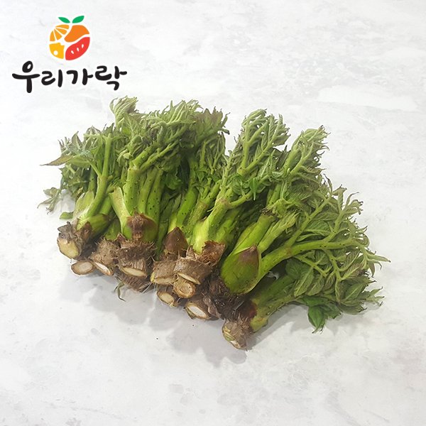 확대된 대표 상품이미지1