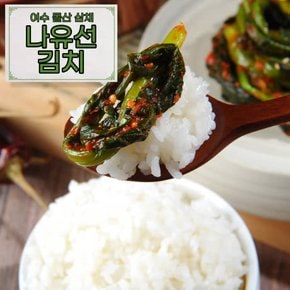 [소셜바이오] 직접 재배한 여수돌산 나유선 삼채갓김치 3kg(선물박스 포장 가능)