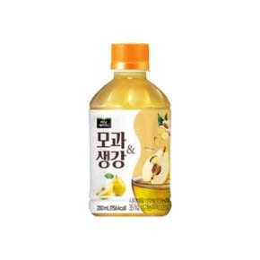 미닛메이드 모과생강 280ml 20개