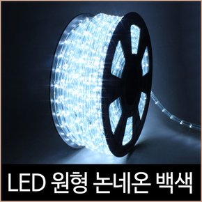 퍼스트 LED 원형 논네온 백색 50미터 1핀 간접조명