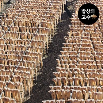  국산 마른오징어 20미 한축 1.5kg 국산 건조 오징어