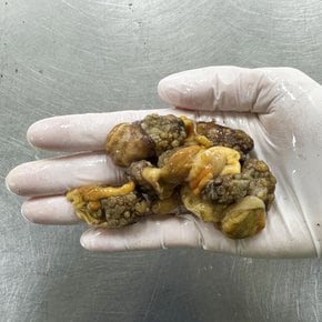 국내산 급냉 손질 미더덕 150g 냉동 찜용 탕용