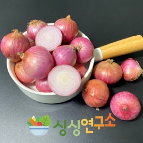 [수작업 선별] 손질 샬롯 미니양파 1kg