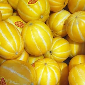 달콤한 과즙이 듬뿍 성주참외 가정용 랜덤과 실중량 2kg
