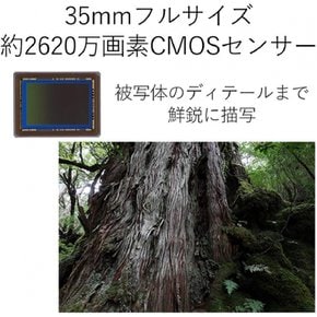 캐논 캐논 DSLR 카메라 EOS 6D 마크 II 바디 EOS6DMK2