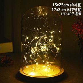 14호 LED 원목받침 타원유리돔 용기 10개