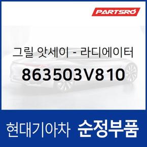 그랜저HG 순정 라디에이터 그릴 (카메라 포함) (863503V810)