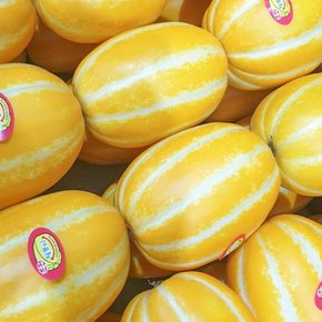 달콤한 과즙이 듬뿍 성주참외 정품 4.5kg(대과) 7-13과 내외