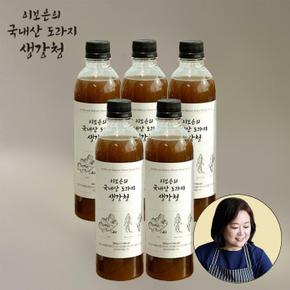 이보은의 국내산 도라지 생강청 580g x 5병