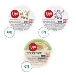 햇반 곤약밥12개 (현미6+흑미6) +발아현미밥 6개