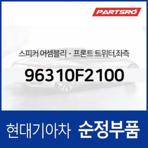 순정 앞문짝 트위터 스피커,좌측 (96310F2100) 아반떼AD