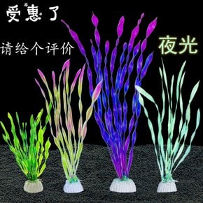 수초 구피 어항 초보 식물 새우 수족관 키우기 물고기 암브리아 전경