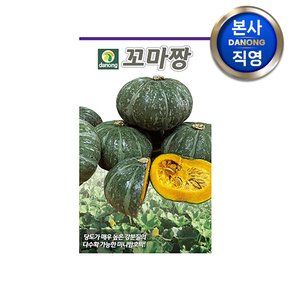 꼬마짱 미니 단호박 씨앗 5립 . 채소 야채 텃밭 파종 재배 주말 농장 씨 종자