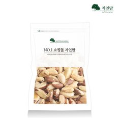 브라질너트(미디엄) 500g