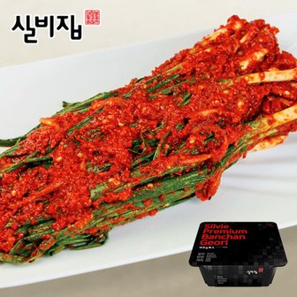 미미의밥상 선화동 실비집 매운 실비김치 파김치 500g