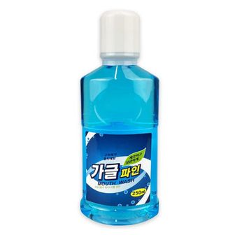 제이큐 샤인빈 가글파인 민트향250ml X ( 2매입 )