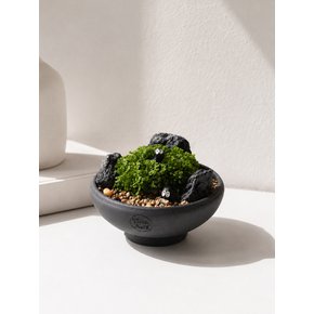 책상 위 작은 숲 구름이끼 화분 - Little Forest Cloud Moss Pot
