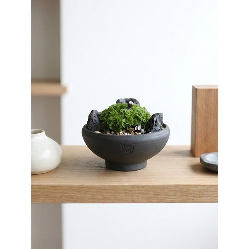 Add Image 6