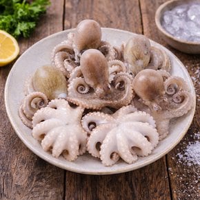 깨끗하게 손질된 냉동 쭈꾸미 크기 4종 800g 택1