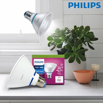 필립스 LED식물재배등 Par30 10W 식물재배램프 식물재배조명