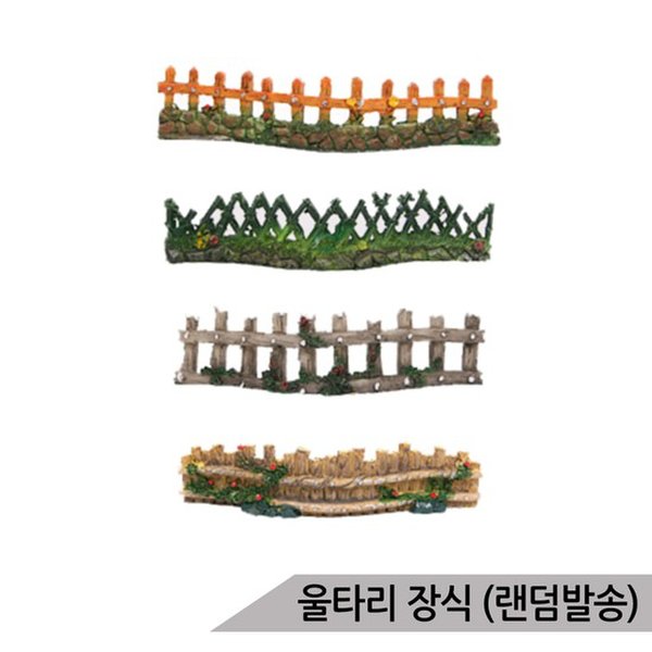 확대된 대표 대표이미지