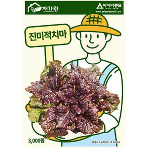 아시아종묘 상추씨앗종자 진미적치마(3000립)