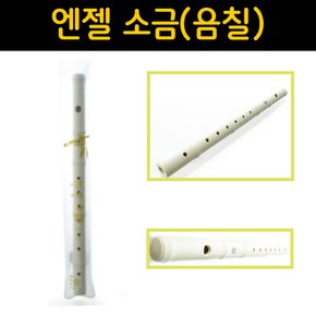 소금 (음칠) AYS-5 학교 유치원 음악준비물