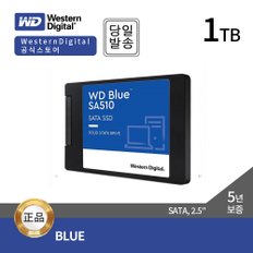 Blue SSD SA510 1TB 2.5형 (SATA3/TLC/5년)