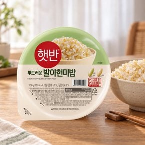 햇반 발아현미밥 210g x 18_27095518