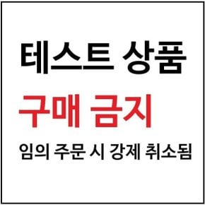 해외직구_성인용품4