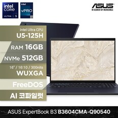 ExpertBook B3 B3604CMA-Q90540 U5-125H 16GB 512GB FD 16인치 비즈니스 AI 코파일럿 노트북