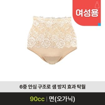  다산가람 노인 안심속옷 요실금팬티 WDR-02 90CC 복지용구