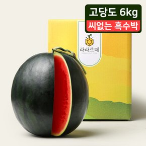 씨없는 흑수박 당도선별 정읍 6kg