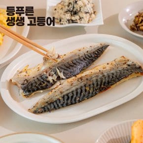 등푸른 생생 고등어 660g x 1봉 (1쪽당 50g~70g)