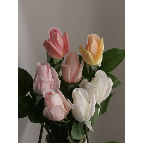 오로라 장미 한 송이 4color