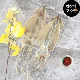  당일바리 구룡포 마른 오징어 10미 건조 국산 건어물 850g