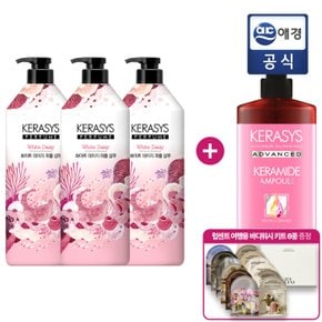 퍼퓸 샴푸 1L x 3개 + 컨디셔너 + 비누 4입 증정