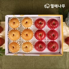 [1/13(월)순차출고]정성담은세트 2호 (사과6과+배6과 -5kg)