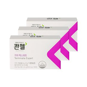 가자 엑스퍼트 3박스