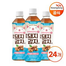 광동 돼지감자차 500ml * 24병