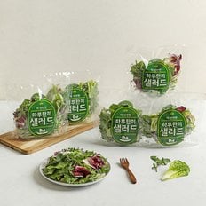 다신샵 3회세척 하루한끼 샐러드믹스 10팩 / 출고당일제조 7가지야채