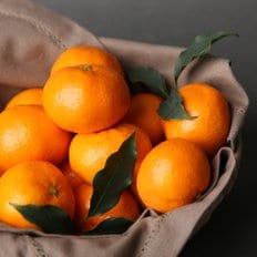 고당도 제주 하우스귤 2kg내외 (국내산) 사이즈L~S
